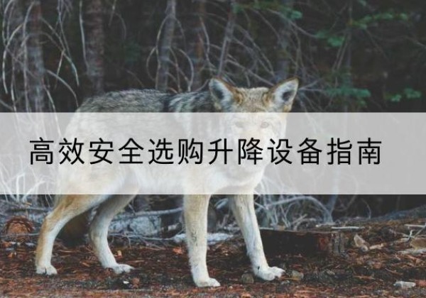 刚察升降货梯厂家推荐-*安全选购升降设备指南
