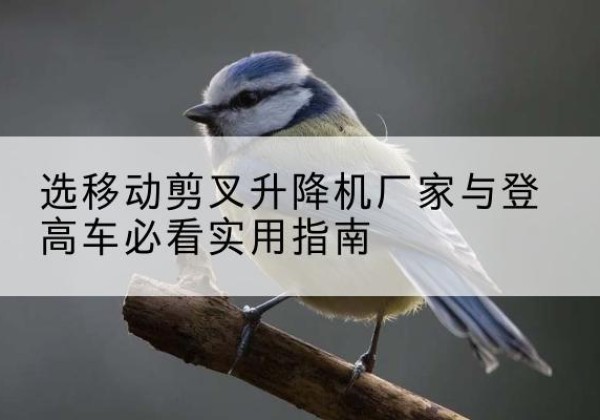 刚察电动升降机厂家-选移动剪叉升降机厂家与登高车必看实用指南